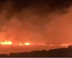 مستعمرون يعتدون على المواطنين ويحرقون أراضي زراعية في المسعودية شمال غرب نابلس