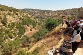 جدة: فلسطين تشارك في فعالية لمناسبة يوم البيئة العالمي