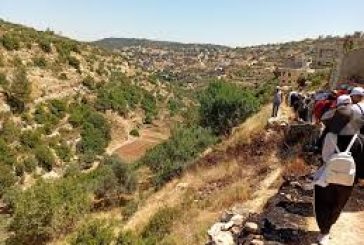 جدة: فلسطين تشارك في فعالية لمناسبة يوم البيئة العالمي